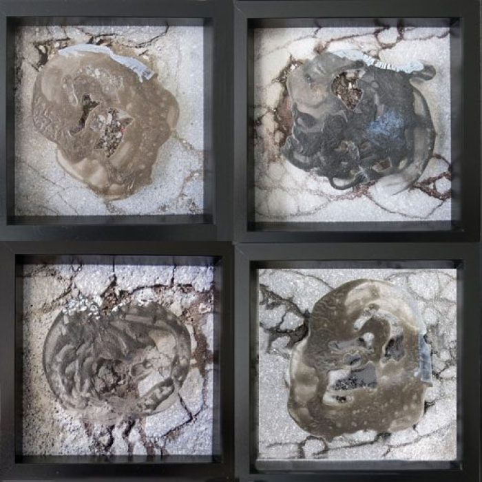 DF02-Nids-1-a-8-512x512